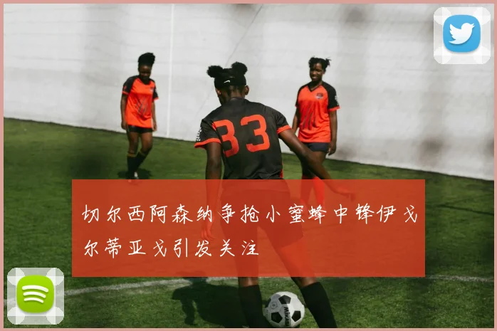 切尔西阿森纳争抢小蜜蜂中锋伊戈尔蒂亚戈引发关注