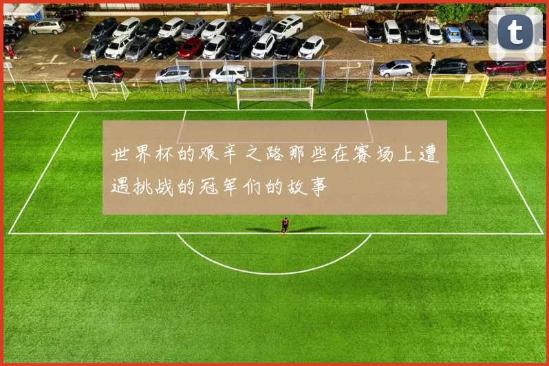 世界杯的艰辛之路那些在赛场上遭遇挑战的冠军们的故事